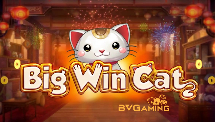 Review Slot Big Win Cat